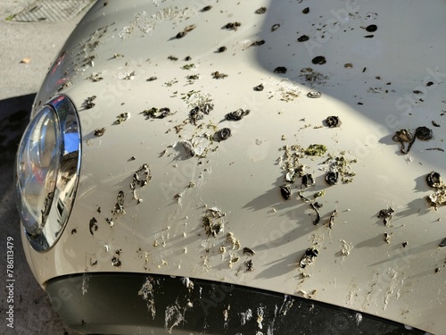 Closeup shot of the guano of pigeons on the hood of a white car on a sunny day