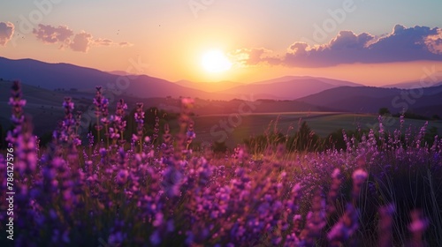 Sunset Embracing Purple Lavender Fields in Hills