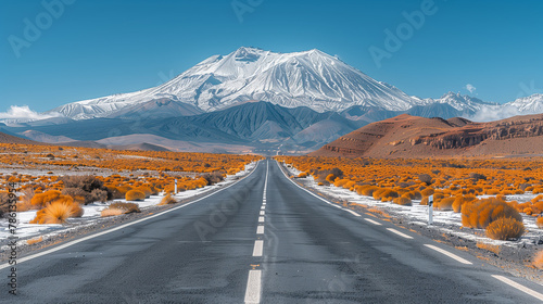 Stretching into the distance, a lengthy, straight road bordered by vibrant orange bushes guides the gaze towards a majestic mountain