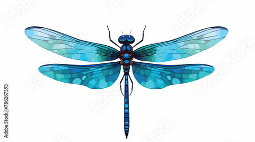 Libellula depressa is a blue bug species of dragonfly