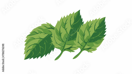 Mint leaf logo illustration vector flat vector isolated