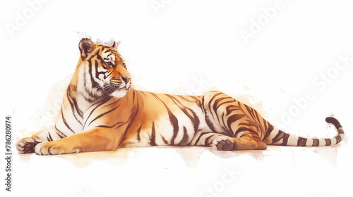 Tigre no fundo branco - Ilustração