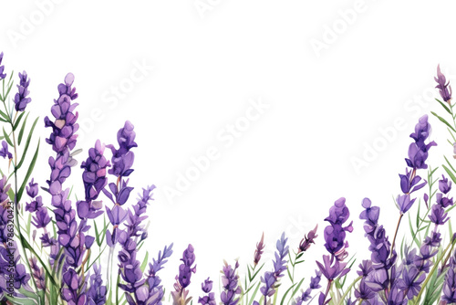 PNG Lavender blossom backgrounds flower purple