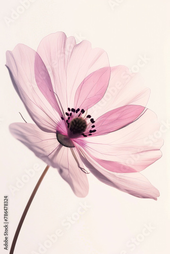 Gentle Pink Flower Art on Neutral Background 