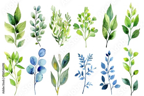 A set of watercolor leaves with a variety of colors and sizes