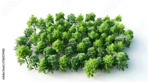 Aerial view woods trees cutout on white background