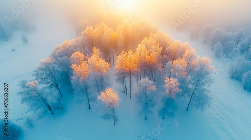Winter Wonderland. Aerial View of Frosty Forest Landscape