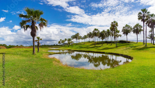 A grassy field with a pond and palm trees
