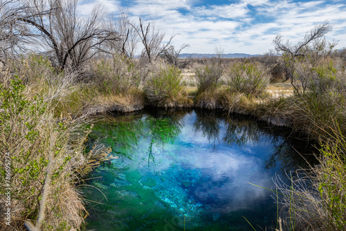 Rogers Spring in Ash Meadows National Wildlife Refuge near Death Valley National Park, Las Vegas, and Pahrump, Nevada