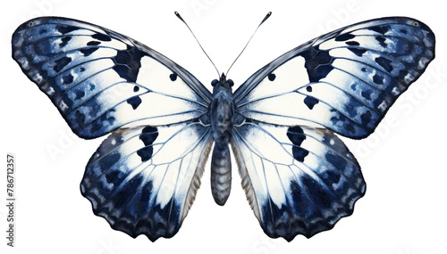 PNG Indigo moth butterfly animal insect.