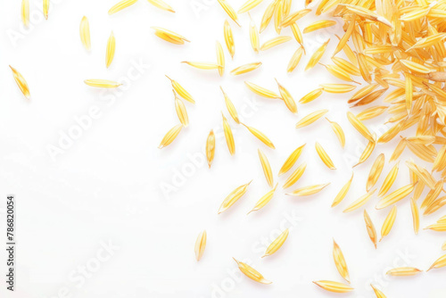 Golden Pasta Shells Scattered Artistically on a Bright White Background, Top View