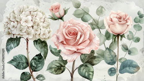 Set di elementi acquerello di rose e ortensie collezione fiori da giardino; foglie; Disegno floreale di matrimonio su sfondo bianco scontornabile