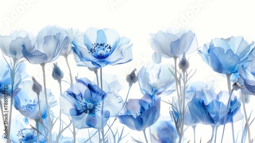 Iridescent blue flowers against a white backdrop