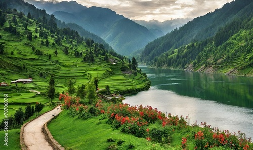 Evergreen Escapes: Embracing Nature's Bounty in Pakistan's Azad Kashmir