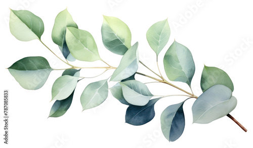 PNG Plant leaf tree gardenia