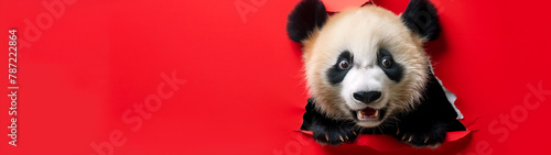 A cheerful panda peeks through the torn red paper. Generative AI