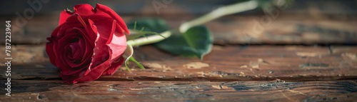 Single rose laying on wooden desk natural light, sharp detail, serene mood, understated beauty