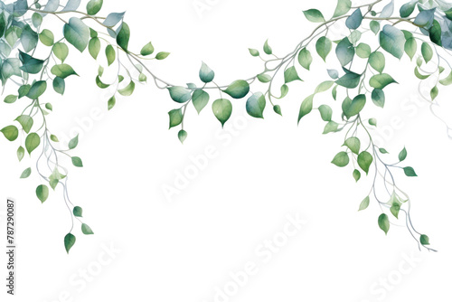 PNG Pattern plant leaf backgrounds