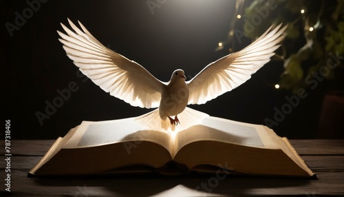 Holy Book with Holy Spirit 
