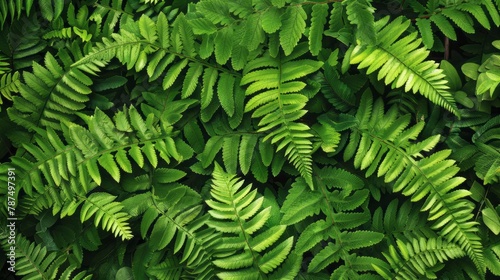 Fresh Green Natural Fern Leaves,Generative AI
