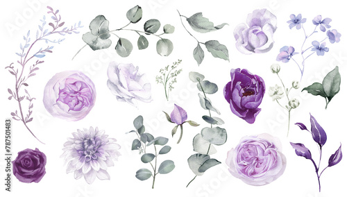 Watercolor floral set clipart. Violet flowers and eucalyptus greenery illustration isolated on transparent background. Purple roses, lilac peony for wedding stationary, greeting card