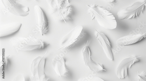 Light white feathers scattered on a white background.