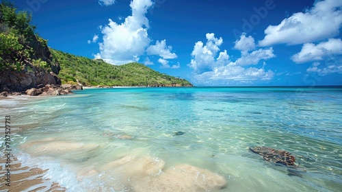 Tranquil shoreline in Saint Barthelemy St Barts St Barth Caribbean