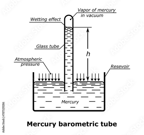 Mercury barometric tube vector illustration