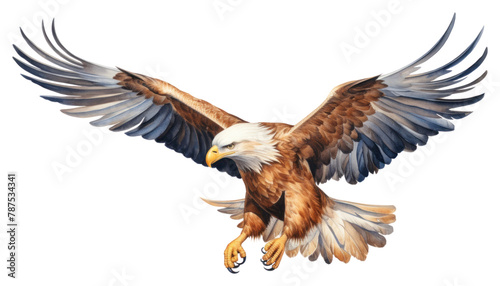 PNG Eagle bird animal flying beak.