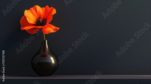 Red flower in a black vase on a dark black background. Minimalistic still life with a poppy flower in the interior.