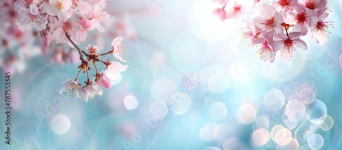 A pretty spring backdrop featuring pink blossoms on a cherry tree branch against a soft blue and pearly pastel background,