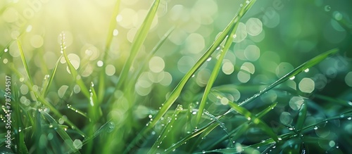 Close-up shot with a shallow depth of field showcasing fresh morning dew on the spring grass, set against a natural background.