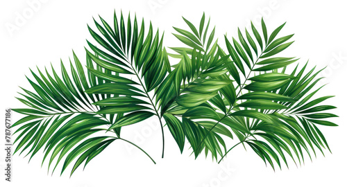 PNG Summer tropical vector vegetation nature plant. AI generated Image by rawpixel.
