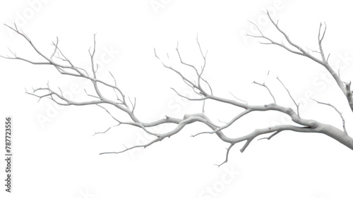 PNG Tree branches white drawing sketch.