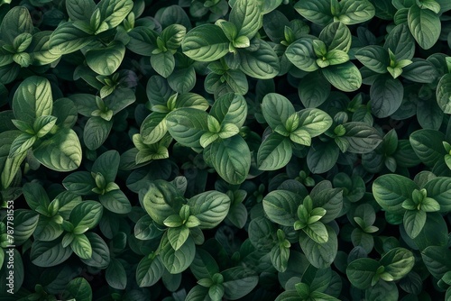 Dense foliage of green plants creating a vibrant natural pattern and texture.