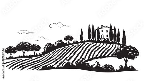 Vineyard landscape, Sketch, hand drawn illustrations