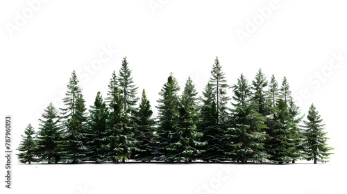 Green forest isolated on a transparent background