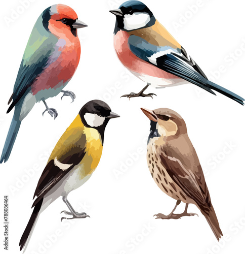 set of four birds in watercolor style. Sparrow, robin, linnet, tit