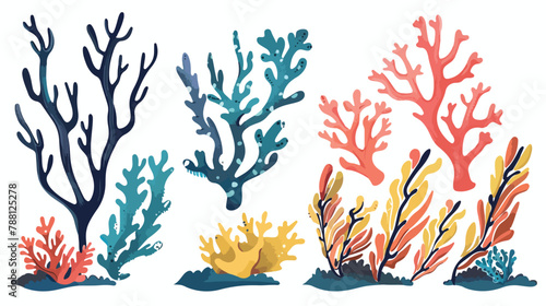 Set of Four various corals and seaweed or algae