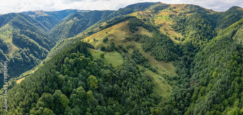 Aerial drone view above the wooded hills of Cindrel Mountains. Numerous valleys are crossing the forested mountainsides. Beech woodlands grow on them. Carpathia, Romania.