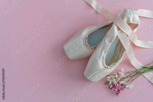 A pair of ballet slippers is on a pink background with flowers