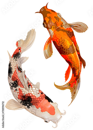 Koi fish png sticker, Japanese traditional animal on transparent background