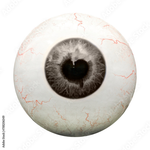 Human eyeball png sticker, transparent background