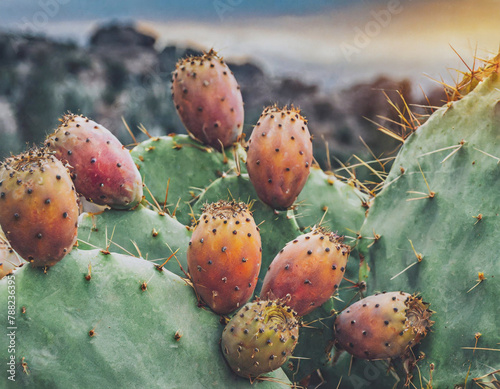 cactus with mature prickly pears AI