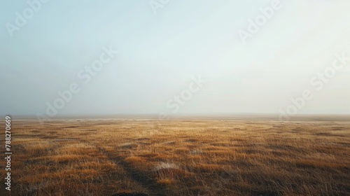 Editorial photograph highlighting the simplicity and purity of a tundra scene.