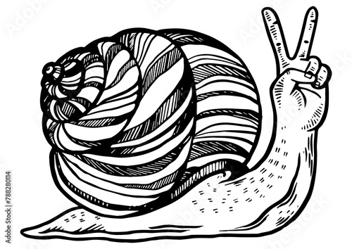 Fantastic fabulous snail with human hand instead head animal engraving PNG illustration. Scratch board style imitation. Black and white hand drawn image.