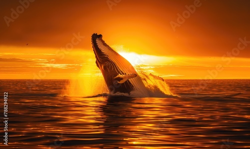 A breaching orca whale captured in mid-air against a vibrant sunset sky