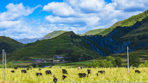Garze Tibetan Autonomous Prefecture, Sichuan Province-Scenery along the road