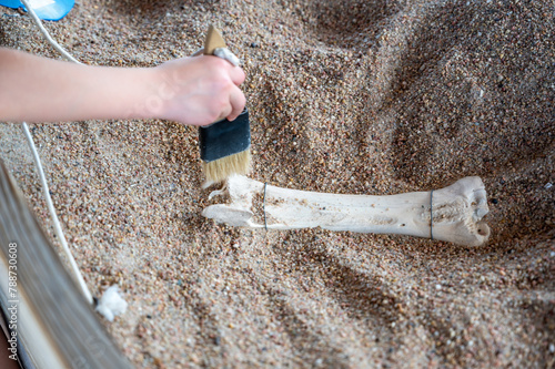 Child brushing away sand at a dinosaur fossil dig exhibit. 