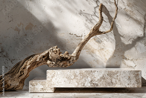 Marble stone podium for product display, featuring driftwood. Elegant minimalistic background